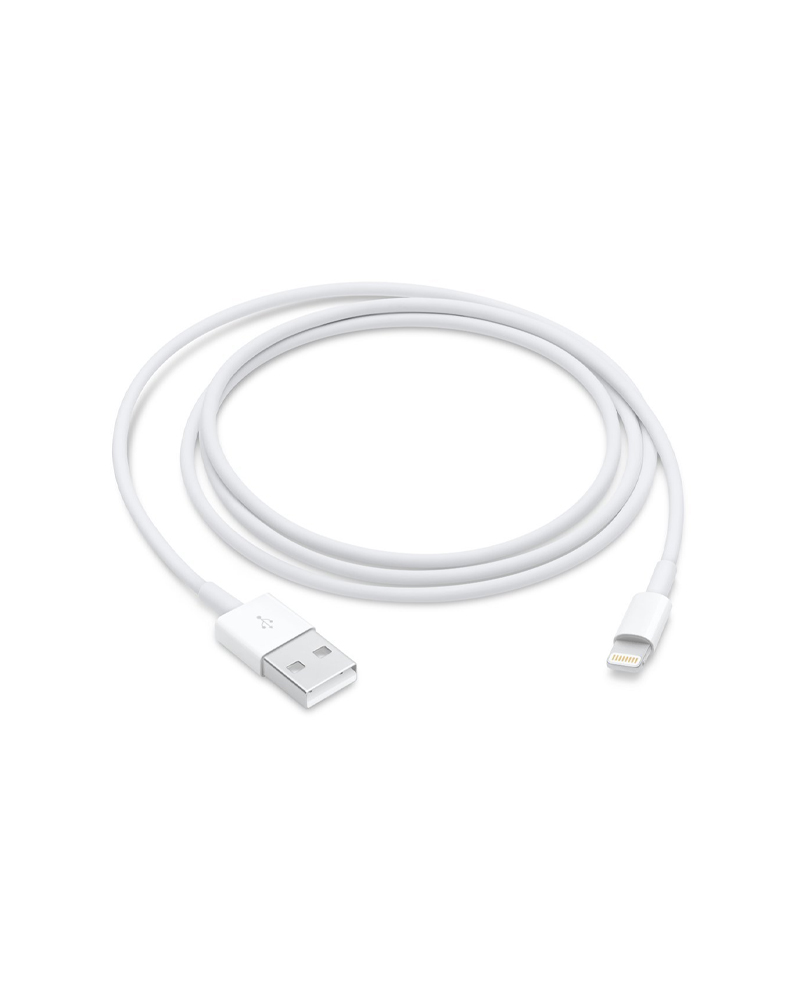Apple Lightning To USB Cable (1m)